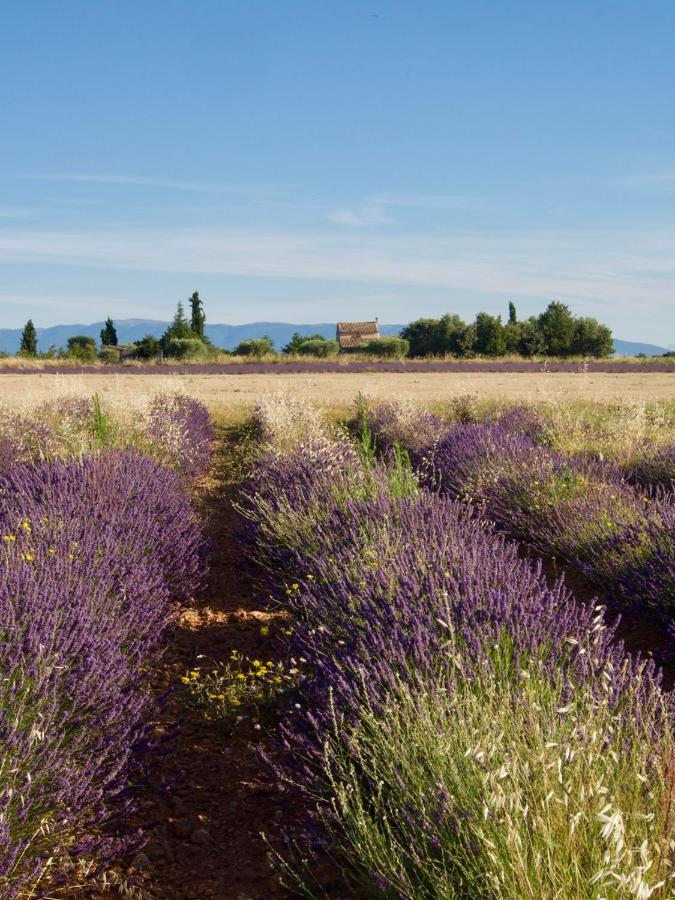 Verdon Secret - L'Escapade Parfaite Греу-ле-Бен Екстер'єр фото